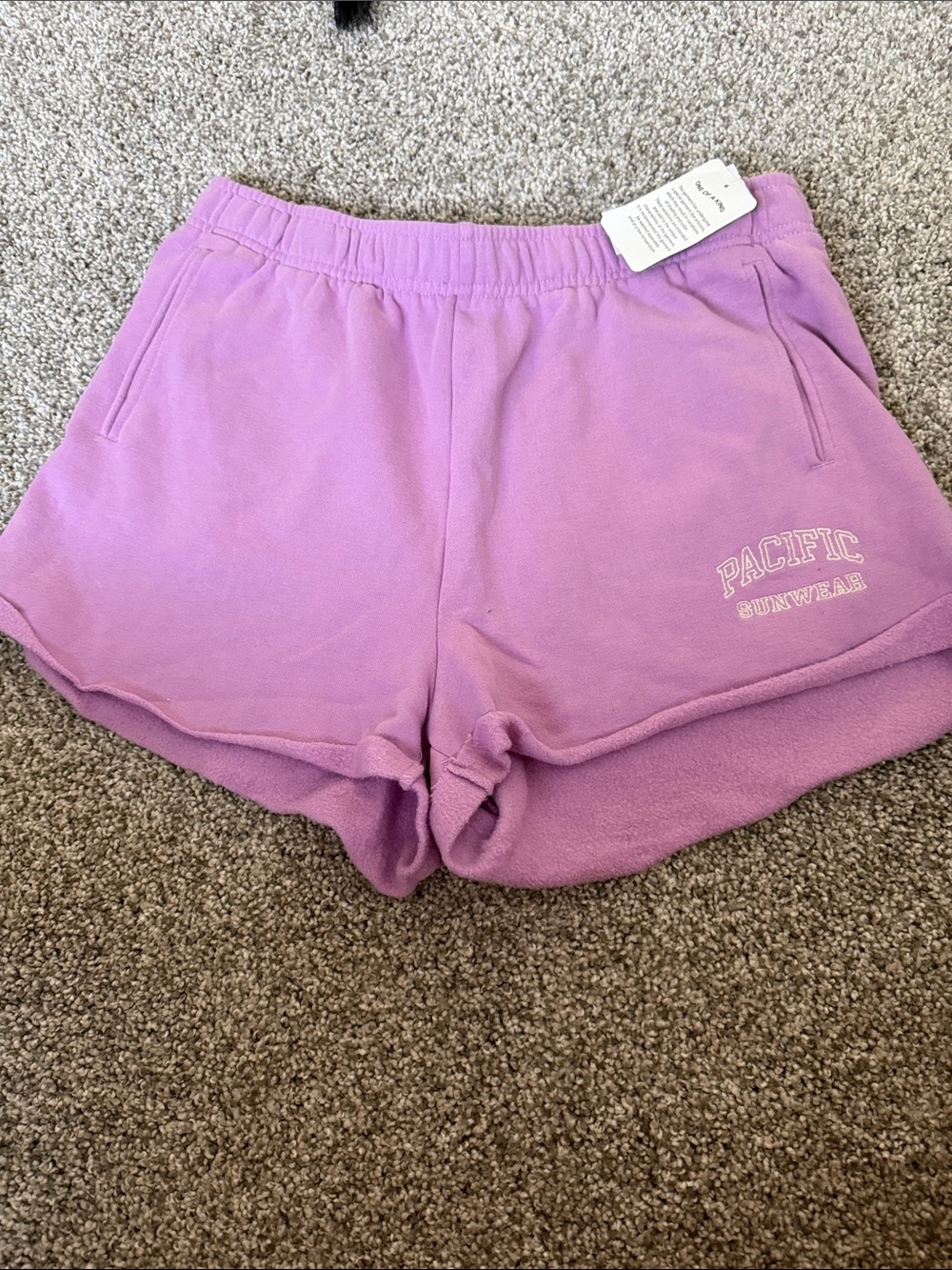 Pacific Sunwear Lilac Women's Athletic Lounge Shorts